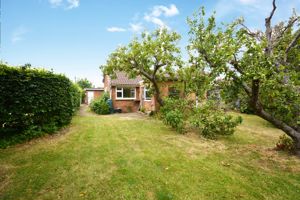 Photo 8- click for photo gallery